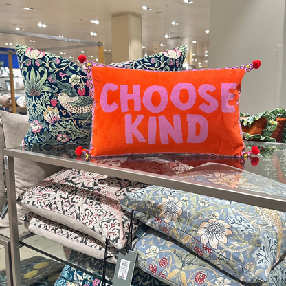 CHOOSE KIND pillowcase and insert.